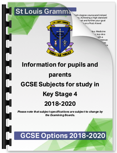 Best gcse options for university
